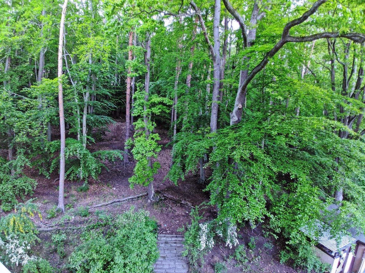 "Near The Forest" Apartment Sopot Buitenkant foto